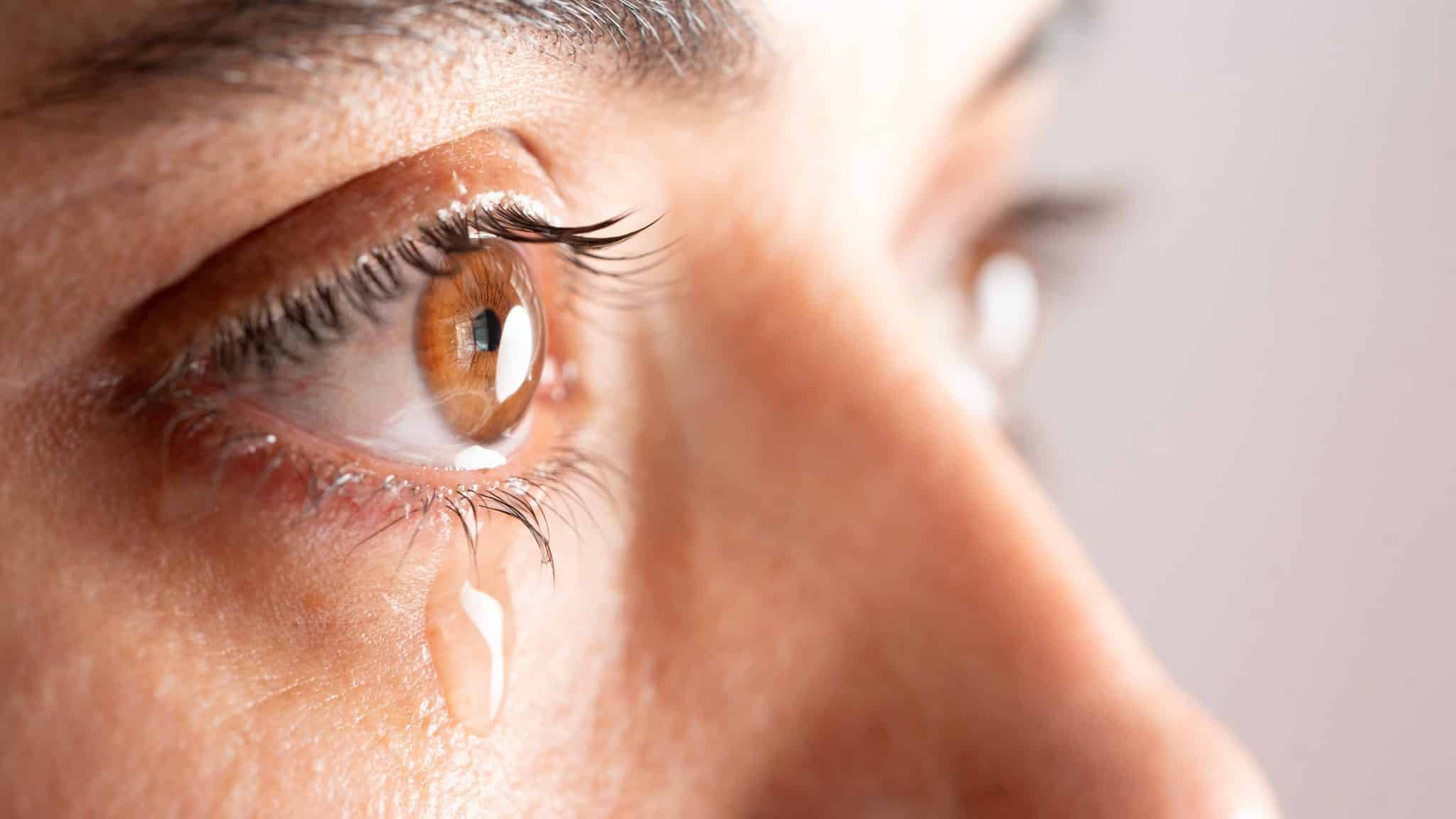 Vos yeux pleurent ? Cela pourrait être le signe… qu’ils sont secs ! 😲💧